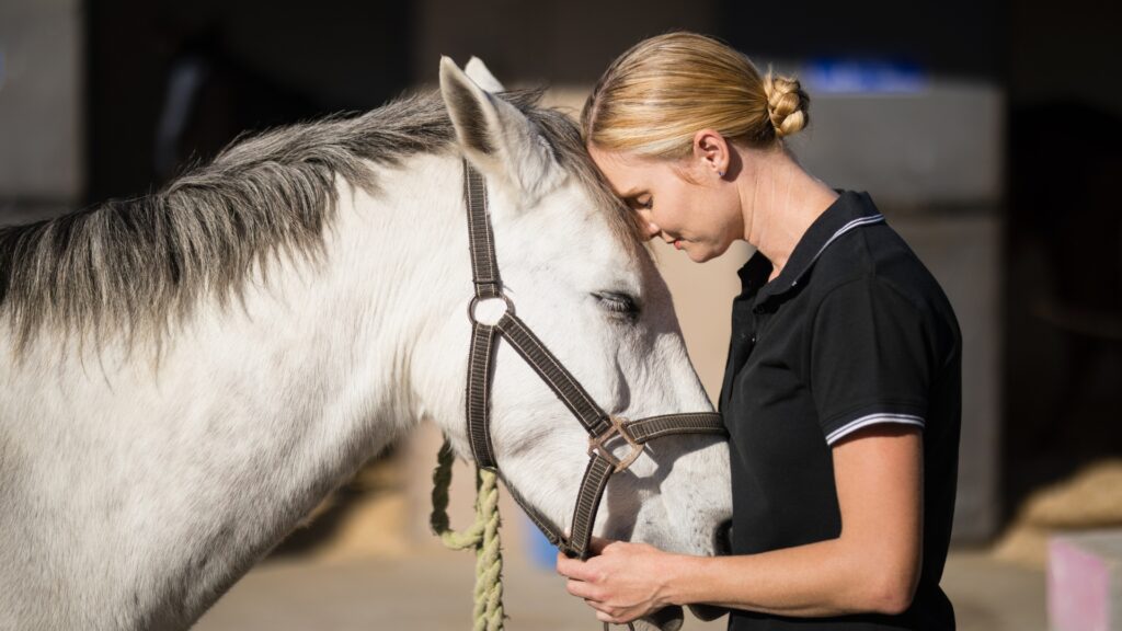Equine Law Solicitors in Horsham and Haywards Heath