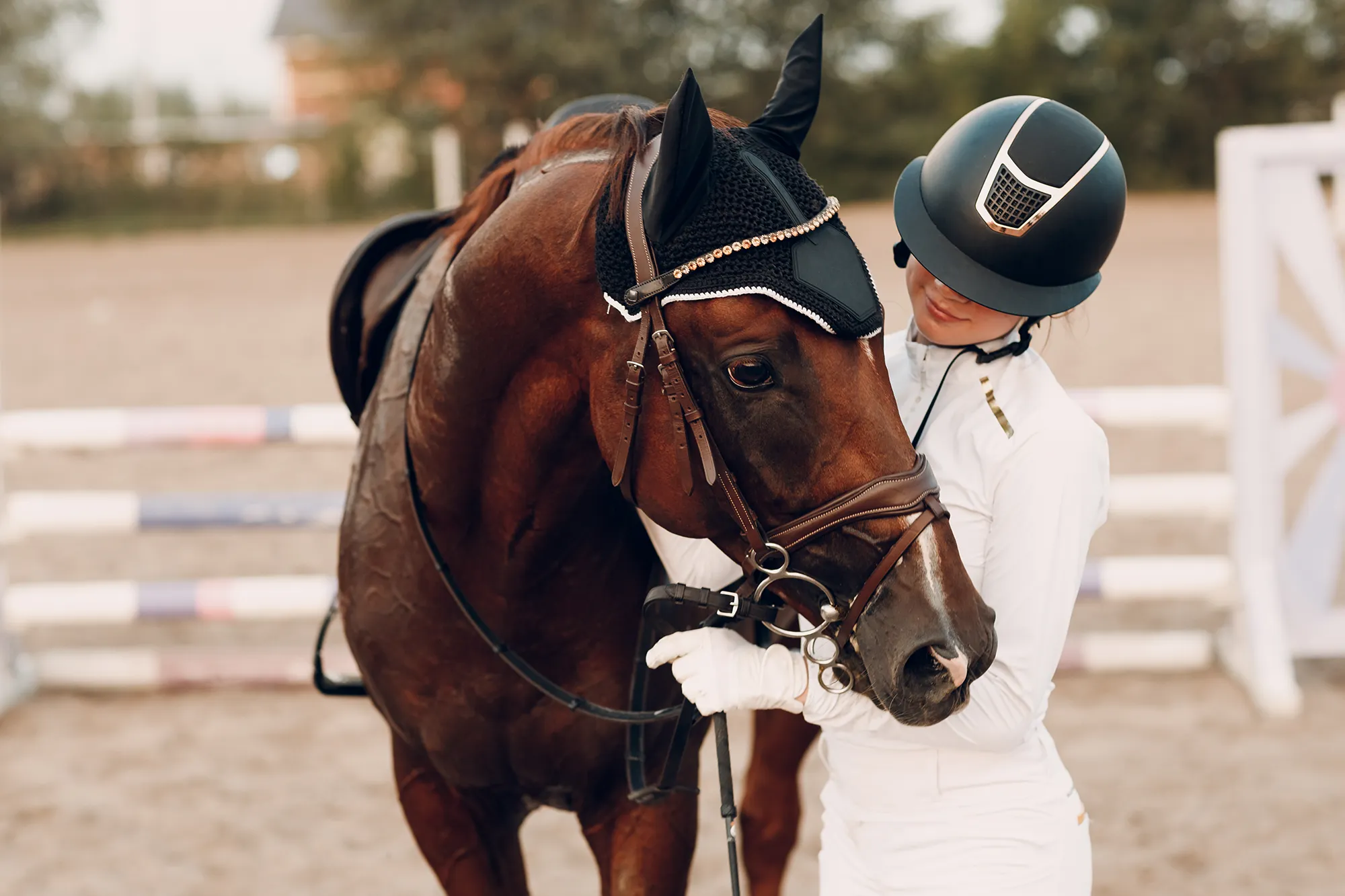 Mancini-Legal-Local-Equine-Lawyer